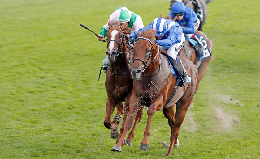 Molatham-0003 
 MOLATHAM (right, Jim Crowley) beats CELTIC ART (left) in The British Stallion Studs EBF Convivial Maiden Stakes
York 23 Aug 2019 - Pic Steven Cargill / Racingfotos.com