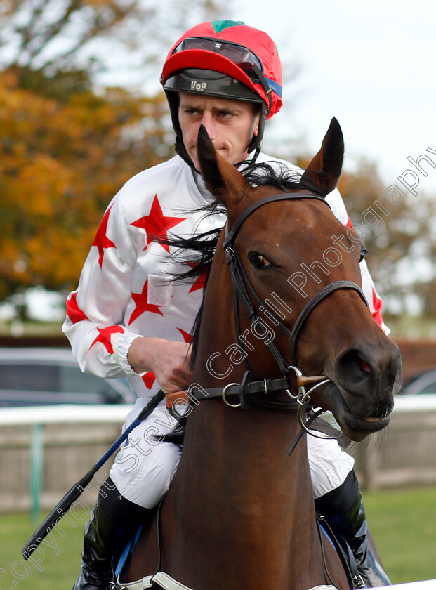 Emerald-Approach-0001 
 EMERALD APPROACH (Adam Kirby)
Newmarket 12 Oct 2018 - Pic Steven Cargill / Racingfotos.com