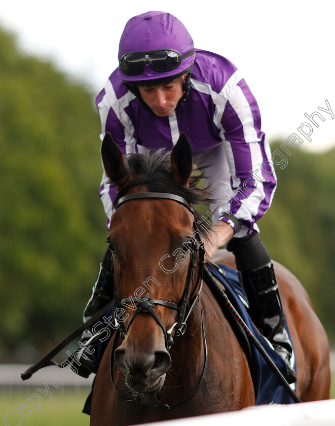 I-Can-Fly-0001 
 I CAN FLY (Ryan Moore)
Newmarket 12 Jul 2019 - Pic Steven Cargill / Racingfotos.com