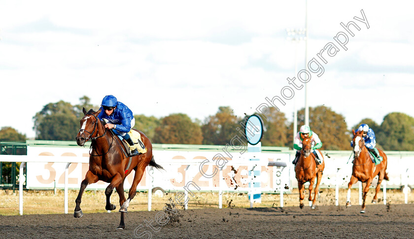 Renaissance-Rose-0001 
 RENAISSANCE ROSE (William Buick) wins The Unibet Extra Race Offers Every Day Fillies Novice Stakes
Kempton 18 Aug 2020 - Pic Steven Cargill / Racingfotos.com