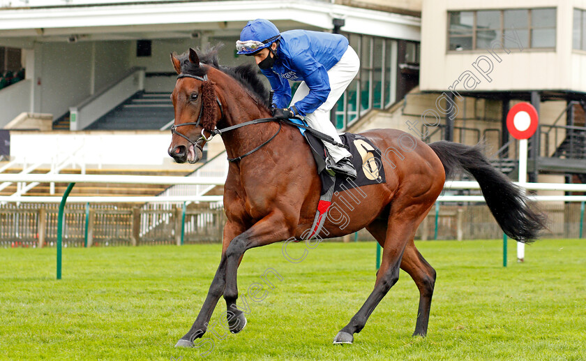 Symbolic-Power-0001 
 SYMBOLIC POWER (William Buick)
Newmarket 21 Oct 2020 - Pic Steven Cargill / Racingfotos.com