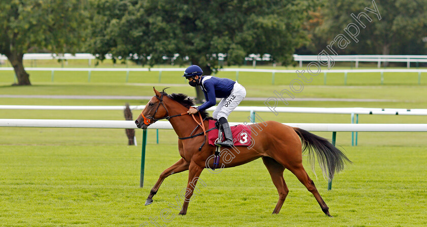 Bay-Of-Whispers-0002 
 BAY OF WHISPERS (Sean Levey)
Haydock 4 Sep 2020 - Pic Steven Cargill / Racingfotos.com