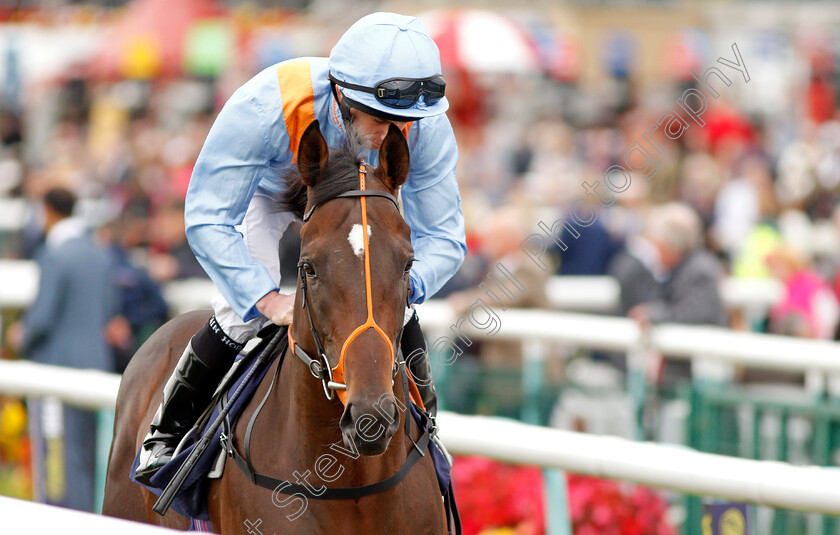 Tigre-Du-Terre-0002 
 TIGRE DU TERRE (Ryan Moore) Doncaster 15 Sep 2017 - Pic Steven Cargill / Racingfotos.com