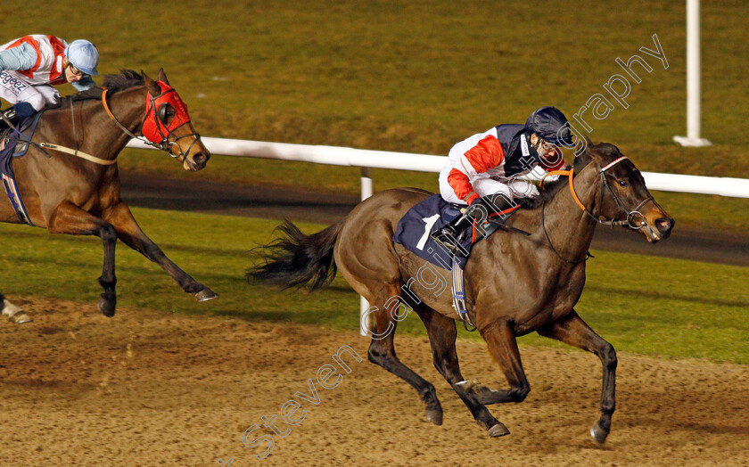 Lady-Quickstep-0003 
 LADY QUICKSTEP (George Bass) wins The Play 4 To Win At Betway Handicap Div1
Wolverhampton 18 Jan 2021 - Pic Steven Cargill / Racingfotos.com