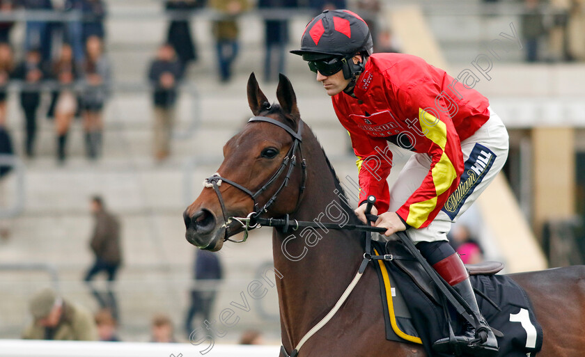 Guard-Your-Dreams-0002 
 GUARD YOUR DREAMS (Sam Twiston-Davies)
Cheltenham 17 Nov 2024 - Pic Steven Cargill / Racingfotos.com