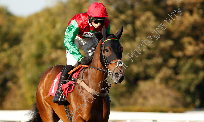 Grand-Sancy-0002 
 GRAND SANCY (Harry Cobden)
Kempton 21 Oct 2018 - Pic Steven Cargill / Racingfotos.com