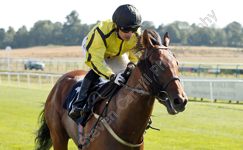 Sir-Arthur-Dayne-0003 
 SIR ARTHUR DAYNE (Silvestre De Sousa) wins The Sky Sports Racing On Virgin 535 Nursery
Lingfield 24 Jul 2019 - Pic Steven Cargill / Racingfotos.com