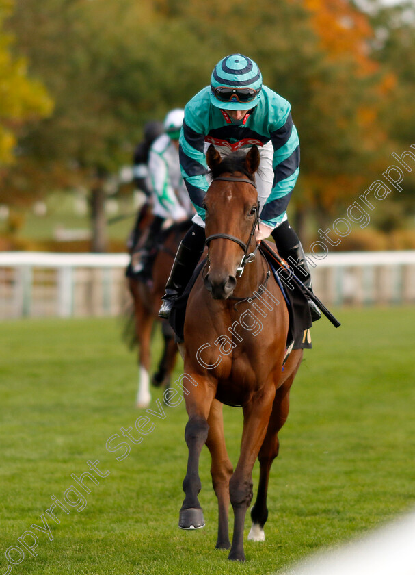 Mildyjama-0001 
 MILDYJAMA (Rossa Ryan)
Newmarket 19 Oct 2022 - Pic Steven Cargill / Racingfotos.com