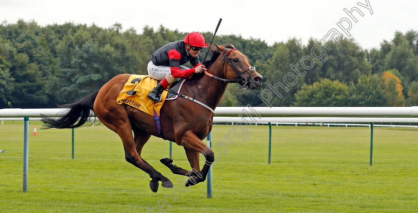 Artistic-Rifles-0002 
 ARTISTIC RIFLES (Andrea Atzeni) wins The Betfair Double Daily Rewards Superior Mile 
Haydock 4 Sep 2021 - Pic Steven Cargill / Racingfotos.com