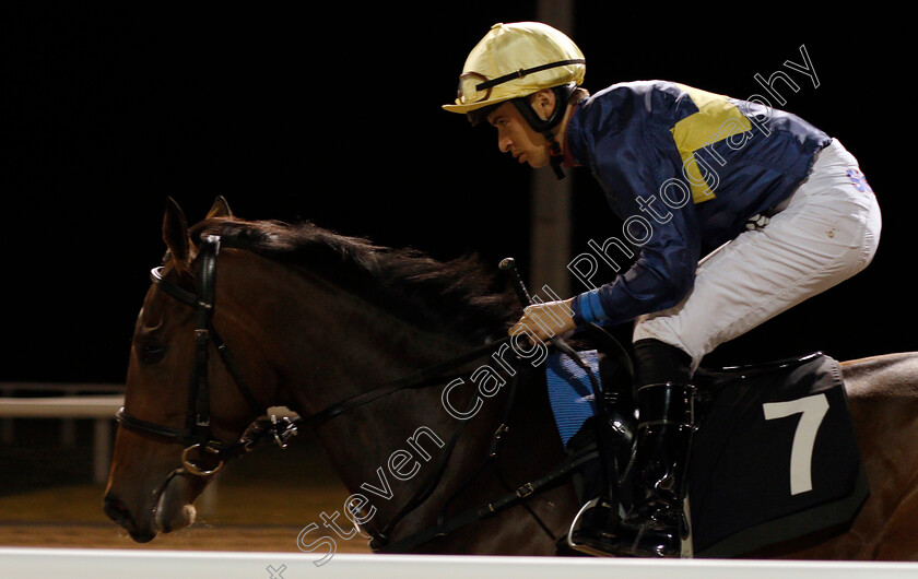 Diablery-0001 
 DIABLERY (Nicky Mackay) Chelmsford 16 Nov 2017 - Pic Steven Cargill / Racingfotos.com