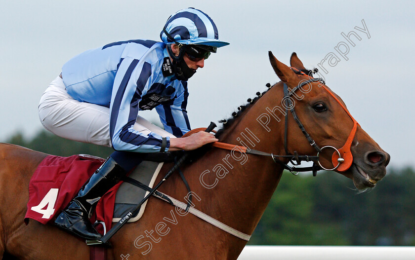 Tashkhan-0006 
 TASHKHAN (Harry Russell) wins The Join Racing TV Now Handicap 
Haydock 28 May 2021 - Pic Steven Cargill / Racingfotos.com