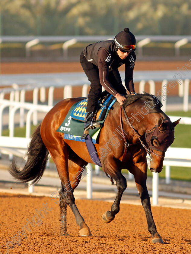 Country-Grammer-0002 
 COUNTRY GRAMMER training for The Saudi Cup
King Abdulaziz Racetrack, Riyadh, Saudi Arabia 22 Feb 2022 - Pic Steven Cargill / Racingfotos.com