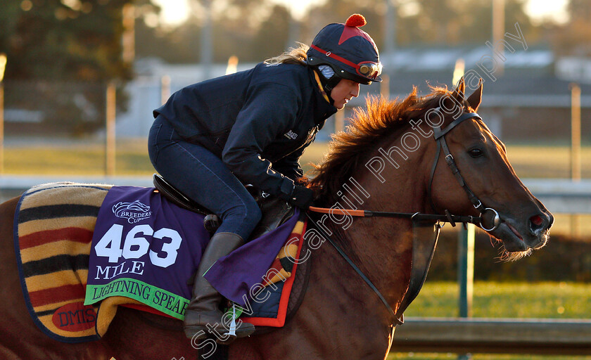 Lightning-Spear-0002 
 LIGHTNING SPEAR exercising ahead of the The Breeders' Cup Mile
Churchill Downs USA 29 Oct 2018 - Pic Steven Cargill / Racingfotos.com