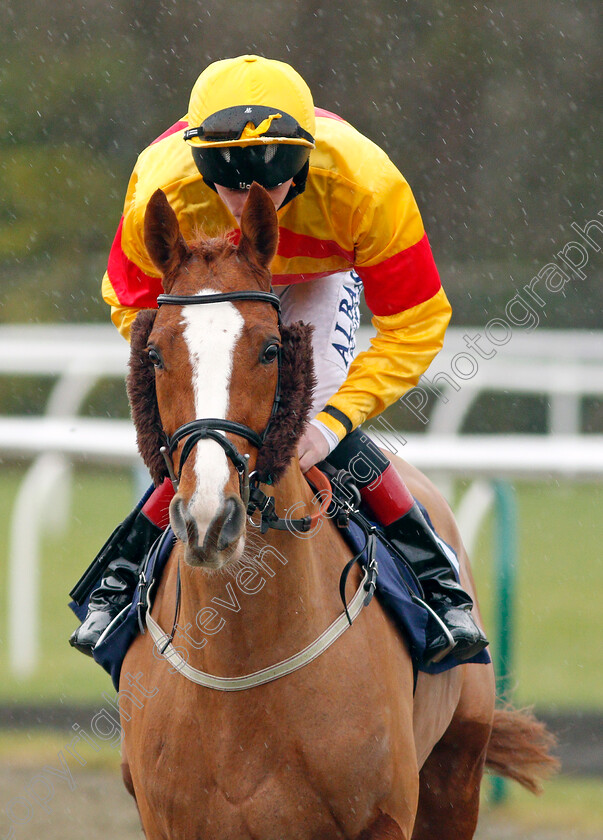 Musikel-0001 
 MUSIKEL (Adam Kirby) Lingfield 13 Dec 2017 - Pic Steven Cargill / Racingfotos.com