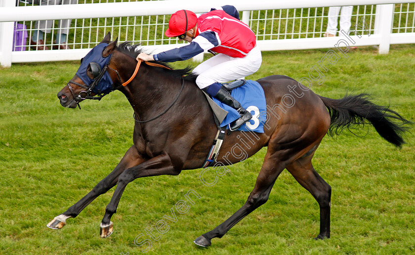 Magical-Dragon-0003 
 MAGICAL DRAGON (Hector Crouch) wins The Wateraid Mildren Construction Handicap
Salisbury 12 Aug 2021 - Pic Steven Cargill / Racingfotos.com