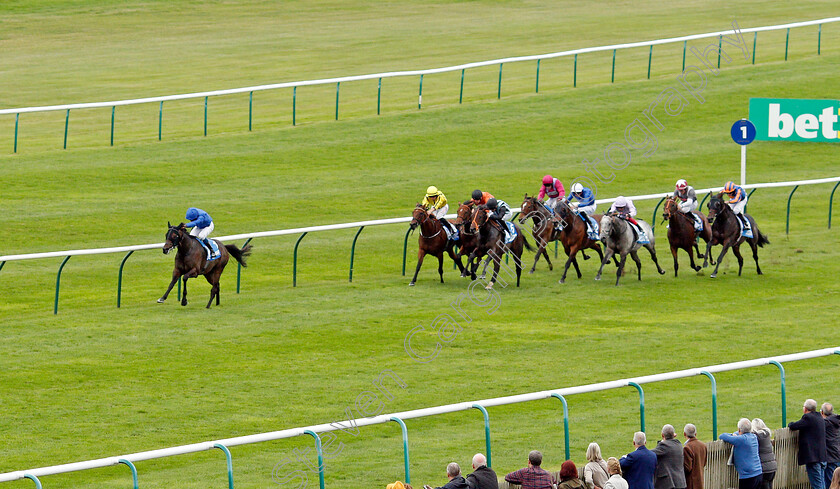 Al-Suhail-0001 
 AL SUHAIL (William Buick) wins The Godolphin Stud & Stable Staff Awards Challenge Stakes
Newmarket 8 Oct 2021 - Pic Steven Cargill / Racingfotos.com