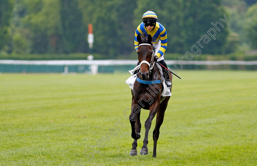 Ma-Mome-0001 
 MA MOME (M Velon)
Longchamp 12 May 2024 - Pic Steven Cargill / Racingfotos.com