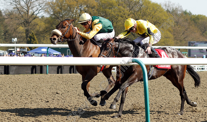 Pizzicato-0001 
 PIZZICATO (farside, Christophe Soumillon) beats DEPUTISE (nearside) in The Ladbrokes 3 Year Old All-Weather Championships Stakes
Lingfield 19 Apr 2019 - Pic Steven Cargill / Racingfotos.com