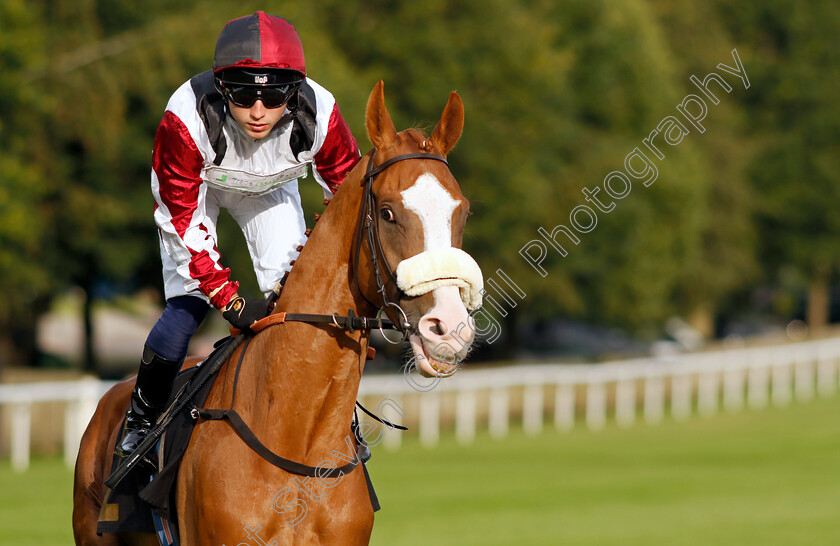 Squeezebox-0008 
 SQUEEZEBOX (Frederick Larson) winner of The Join Racing TV Now Handicap
Newmarket 28 Jul 2023 - Pic Steven Cargill / Racingfotos.com