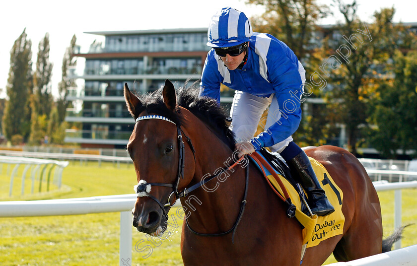 Enjazaat-0001 
 ENJAZAAT (Jim Crowley) Newbury 23 Sep 2017 - Pic Steven Cargill / Racingfotos.com