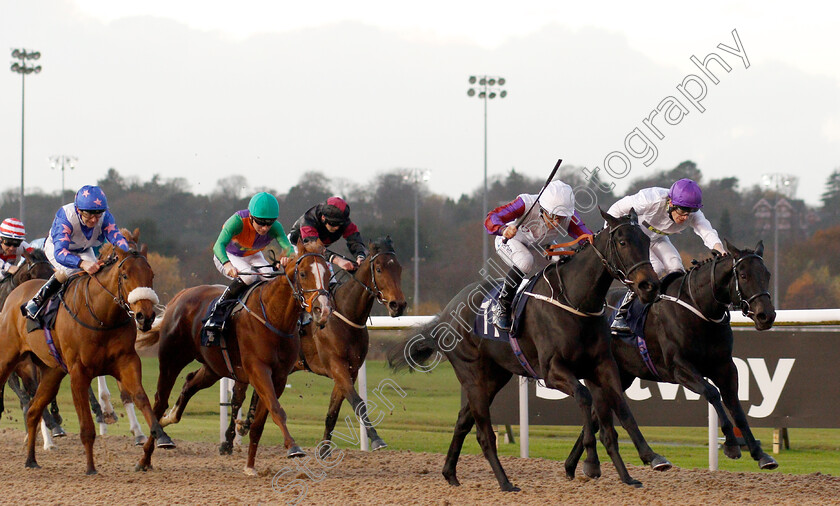 Dark-Regard-0003 
 DARK REGARD (2nd right, P J McDonald) beats MOON OF LOVE (right) in The Ladbrokes Nursery
Wolverhampton 26 Nov 2019 - Pic Steven Cargill / Racingfotos.com