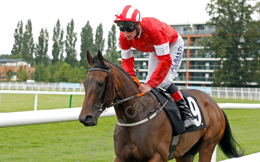 Delmona-0001 
 DELMONA (Adam Kirby)
Newbury 13 Aug 2021 - Pic Steven Cargill / Racingfotos.com