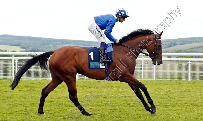 Alfaatik-0002 
 ALFAATIK (Jim Crowley)
Goodwood 24 May 2019 - Pic Steven Cargill / Racingfotos.com