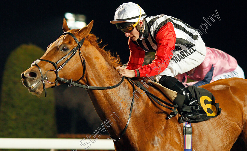 Harry s-Bar-0005 
 HARRY'S BAR (Tom Marquand) wins The 32Red.com Handicap
Kempton 4 Dec 2019 - Pic Steven Cargill / Racingfotos.com