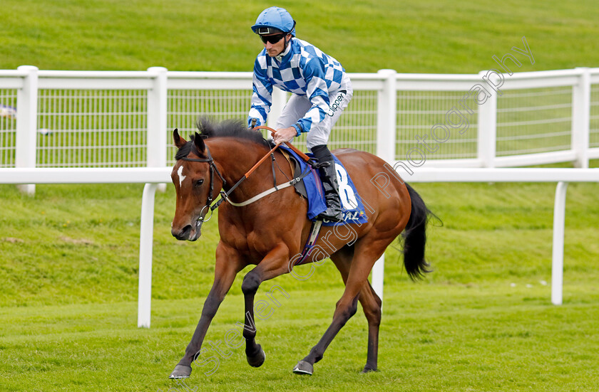 Maria-Branwell-0001 
 MARIA BRANWELL (Daniel Tudhope) winner of The Coral National Stakes
Sandown 26 May 2022 - Pic Steven Cargill / Racingfotos.com