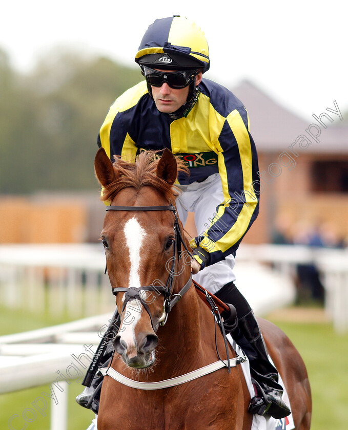 Now-Children-0002 
 NOW CHILDREN (Paul Mulrennan)
York 16 May 2018 - Pic Steven Cargill / Racingfotos.com