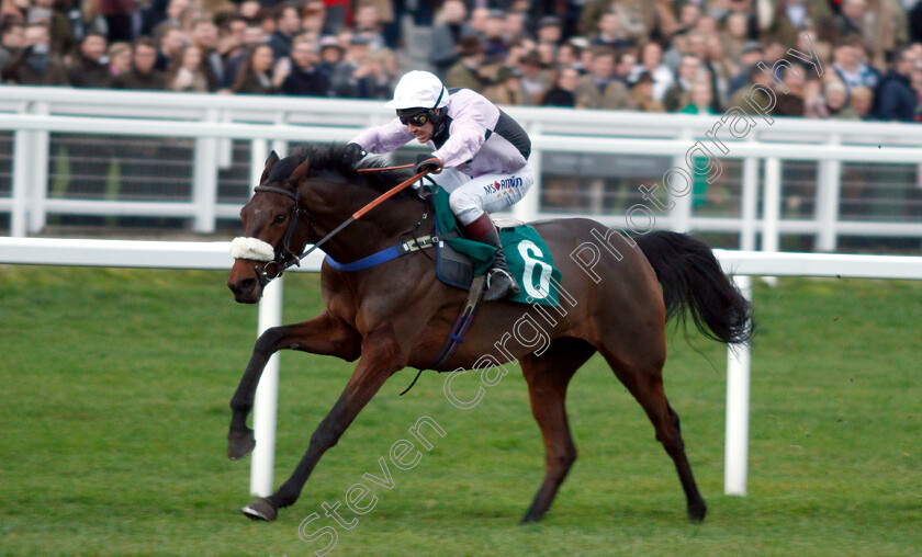 Glory-And-Fortune-0004 
 GLORY AND FORTUNE (Richard Johnson) wins The EBF Stallions & Cheltenham Pony Club Standard Open National Hunt Flat Race
Cheltenham 1 Jan 2019 - Pic Steven Cargill / Racingfotos.com