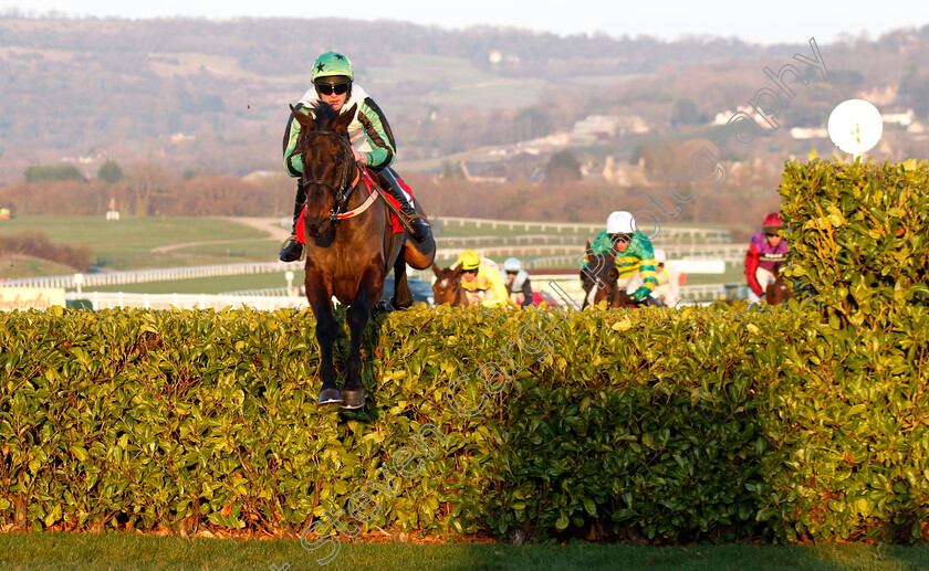 Bay-Of-Freedom-0001 
 BAY OF FREEDOM (Richie McLernon)
Cheltenham 14 Dec 2018 - Pic Steven Cargill / Racingfotos.com