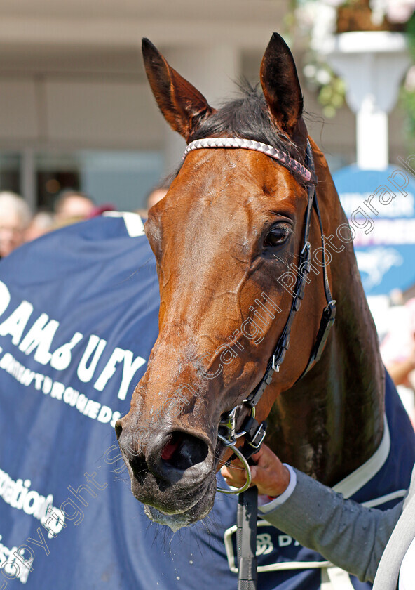 Emily-Upjohn-0008 
 EMILY UPJOHN winner of The Dahlbury Coronation Cup
Epsom 2 Jun 2023 - pic Steven Cargill / Racingfotos.com