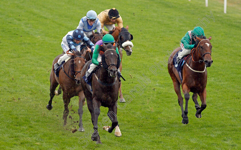 Papa-Stour-0003 
 PAPA STOUR (centre, Marco Ghiani) beats MOLLY SHAW (right) in The Download The At The Races App Handicap
Yarmouth 14 Sep 2021 - Pic Steven Cargill / Racingfotos.com