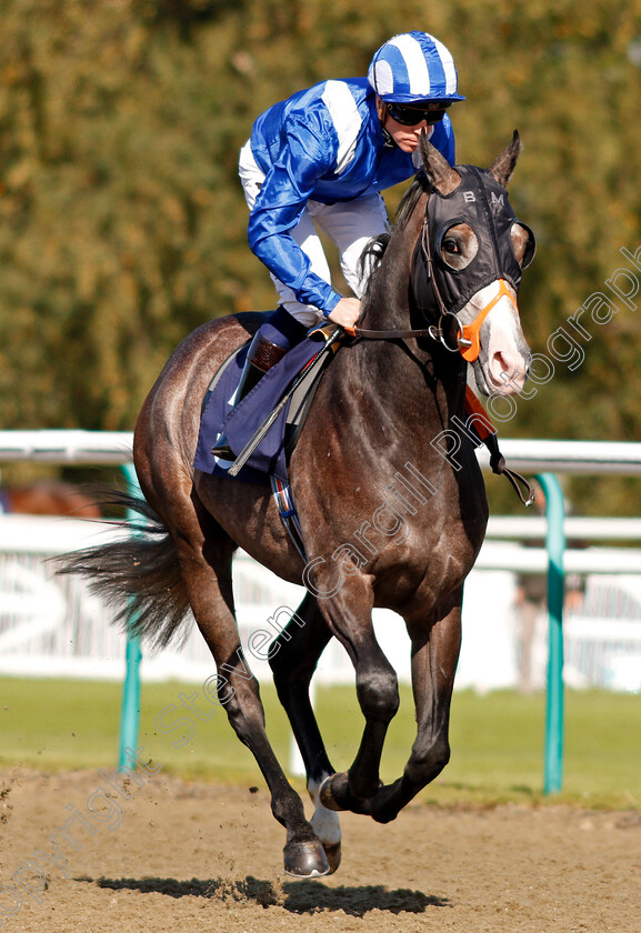 Motabassim-0003 
 MOTABASSIM (Jim Crowley) winner of The Racing Welfare Nursery Lingfield 5 Oct 2017 - Pic Steven Cargill / Racingfotos.com