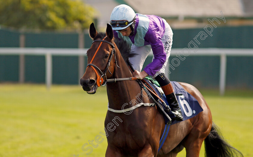 Hold-A-Dream-0007 
 HOLD A DREAM (Rossa Ryan) winner of The Britiish EBF Fillies Novice Stakes
Yarmouth 18 Sep 2024 - Pic Steven Cargill / Racingfotos.com