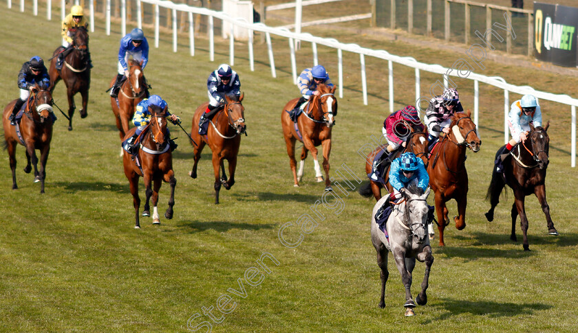 Noble-Queen-0001 
 NOBLE QUEEN (Oisin Murphy) wins The Download The Quinnbet App Classified Stakes Div1
Yarmouth 20 Apr 2021 - Pic Steven Cargill / Racingfotos.com