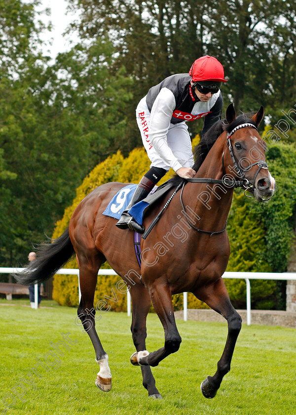 Megallan-0001 
 MEGALLAN (Robert Havlin) winner of The D & N Construction Sovereign Stakes
Salisbury 12 Aug 2021 - Pic Steven Cargill / Racingfotos.com