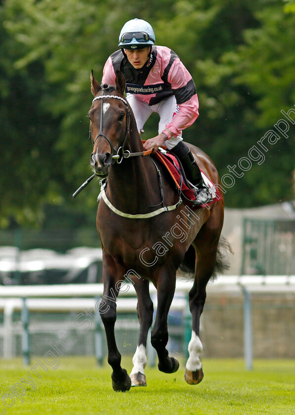 El-Caballo-0002 
 EL CABALLO (Clifford Lee) winner of The Cazoo Sandy Lane Stakes
Haydock 21 May 2022 - Pic Steven Cargill / Racingfotos.com