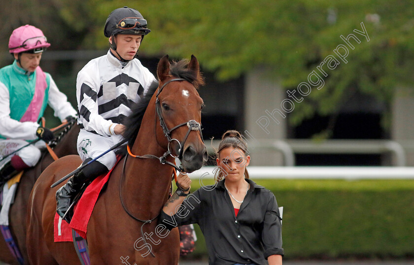 Captain-Red-Blazer-0001 
 CAPTAIN RED BLAZER (Christian Howarth)
Kempton 28 Aug 2024 - Pic Steven Cargill / Racingfotos.com