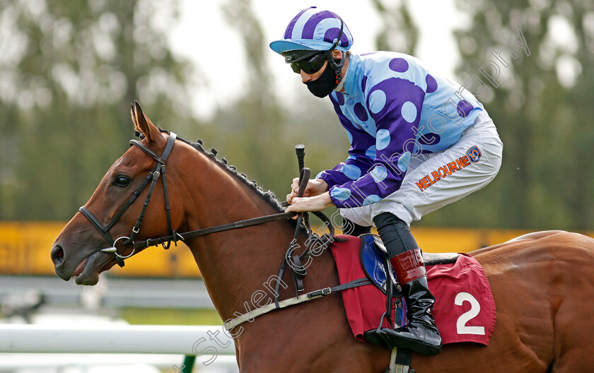 Helvetian-0001 
 HELVETIAN (Dougie Costello)
Haydock 4 Sep 2020 - Pic Steven Cargill / Racingfotos.com