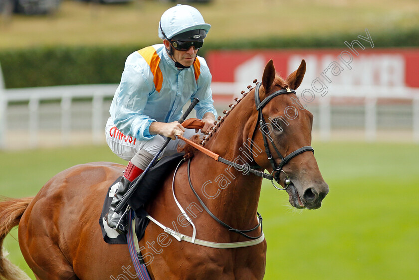 Dear-My-Friend-0001 
 DEAR MY FRIEND (Franny Norton)
Goodwood 26 Jul 2022 - Pic Steven Cargill / Racingfotos.com