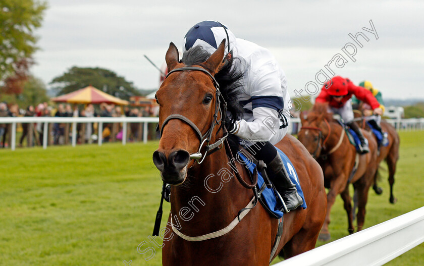 Westbrook-Bertie-0004 
 WESTBROOK BERTIE (Silvestre De Sousa) wins The Betfred Supports Jack Berry House Handicap Salisbury 29 Apr 2018 - Pic Steven Cargill / Racingfotos.com