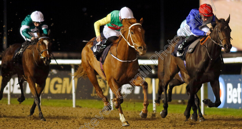 Kon-Tiki-0003 
 KON TIKI (centre, Jonny Peate) wins The Betmgm Irish EBF Fillies Novice Stakes Div2
Wolverhampton 20 Dec 2024 - Pic Steven Cargill / Racingfotos.com