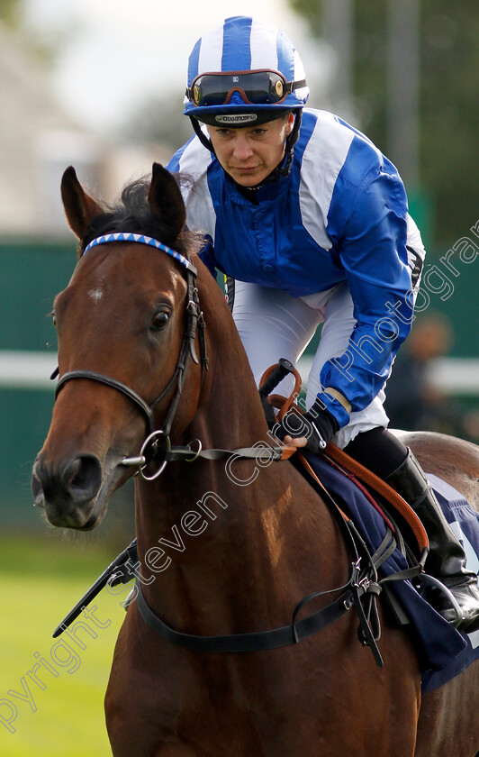 Muttasil-0002 
 MUTTASIL (Hayley Turner)
Yarmouth 16 Oct 2023 - Pic Steven Cargill / Racingfotos.com