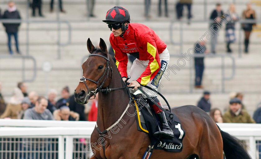 Guard-Your-Dreams-0001 
 GUARD YOUR DREAMS (Sam Twiston-Davies)
Cheltenham 17 Nov 2024 - Pic Steven Cargill / Racingfotos.com