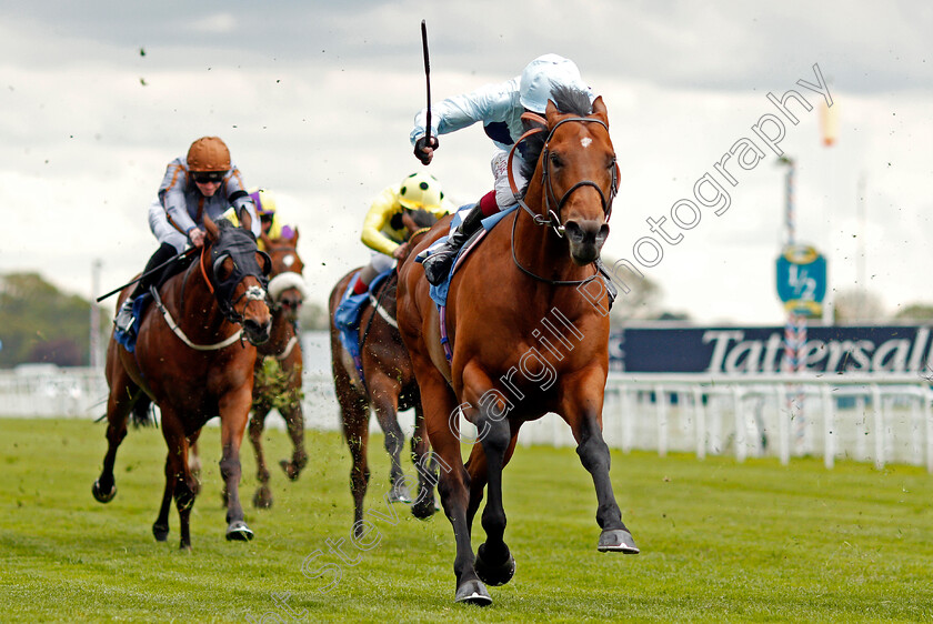 Starman-0006 
 STARMAN (Oisin Murphy) wins The Duke Of York Clipper Logistics Stakes
York 12 May 2021 - Pic Steven Cargill / Racingfotos.com