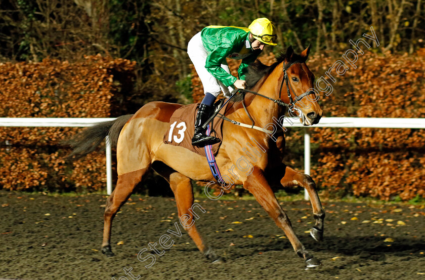 Ring-That-Bell-0001 
 RING THAT BELL (Hector Crouch)
Kempton 13 Dec 2023 - Pic Steven Cargill / Racingfotos.com