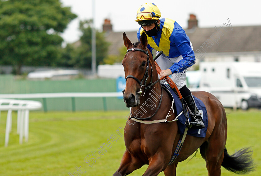 Run-This-Way-0002 
 RUN THIS WAY (Dane O'Neill)
Yarmouth 1 Jul 2021 - Pic Steven Cargill / Racingfotos.com