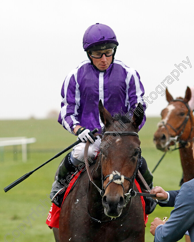 Delacroix-0005 
 DELACROIX (Ryan Moore) winner of the Emirates Autumn Stakes
Newmarket 12 Oct 2024 - Pic Steven Cargill / Racingfotos.com